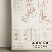 s. honma japanese acupuncture framed graphic art